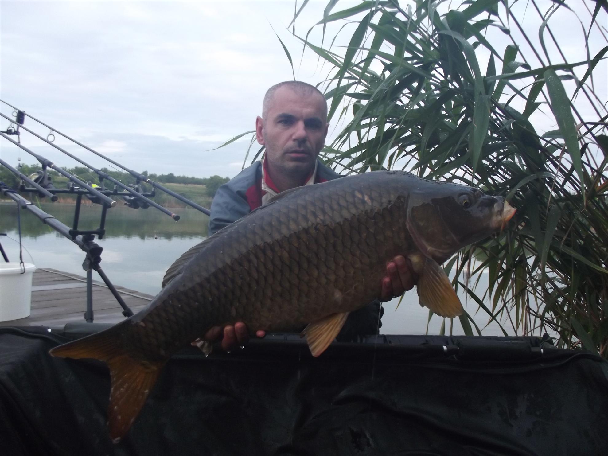 Tancabesti 7 - 9 iun. - dscf3707.JPG